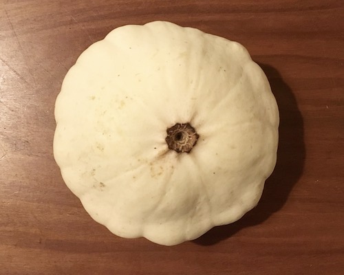 La foto muestra una calabaza vieira