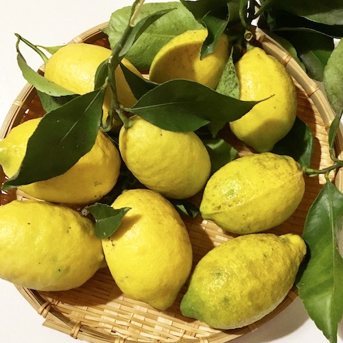 La foto muestra un cesto lleno de limones con algunas hojas.